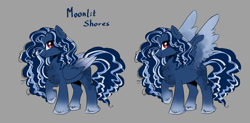 Size: 1280x628 | Tagged: safe, artist:paltis, imported from derpibooru, oc, oc:moonlit shores, pegasus, pony, pegasus oc, solo, wings