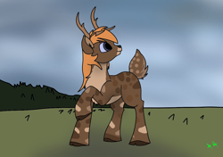 Size: 1200x847 | Tagged: safe, artist:aegishailstorm, imported from derpibooru, oc, oc only, oc:luibh, deer, deer pony, hybrid, original species, blue eyes, cloud, cloudy, commission, forest background, looking at something, raised tail, solo, tail