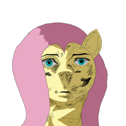 Size: 2048x2048 | Tagged: safe, artist:enterusxrname, imported from derpibooru, fluttershy, high res, meme, png, reference, simple background, solo, thousand yard stare, transparent background