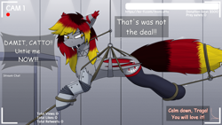 Size: 3840x2160 | Tagged: safe, artist:monycaalot, imported from derpibooru, oc, oc only, oc:traga, bat pony, series:catto's vore stream, angry, bat pony oc, bat wings, bondage, clothes, fangs, implied vore, incentive drive, livestream, looking at you, male, robotic arm, socks, solo, suspended, tied up, wings