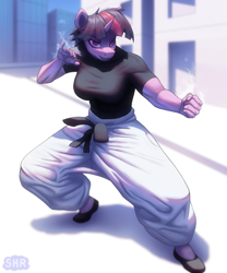 Size: 1280x1540 | Tagged: safe, artist:suhar, imported from derpibooru, twilight sparkle, anthro, plantigrade anthro, unicorn, breasts, building, city, clothes, female, fighting stance, fist, horn, jujutsu kaisen, pants, satoru gojou, shirt, shoes, sky, smiling, solo, t-shirt