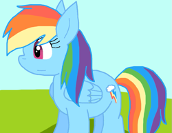 Size: 821x634 | Tagged: safe, artist:cmara, imported from derpibooru, rainbow dash, pegasus, pony, female, solo