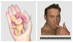 Size: 3400x2000 | Tagged: safe, alternate version, artist:miryelis, imported from derpibooru, fluttershy, human, pegasus, pony, eating, gachimuchi, hand, irl, irl human, meme, photo, sitting, solo, text