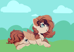 Size: 3508x2480 | Tagged: safe, artist:shadowblazearts, imported from derpibooru, oc, oc only, oc:mokka, pegasus, pony, :o, chest fluff, ear fluff, grass, lying down, male, open mouth, prone, solo, stallion