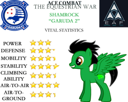 Size: 999x800 | Tagged: safe, artist:sonicthehedgehogpl, imported from derpibooru, oc, oc:shamrock, pegasus, pony, ace combat, crossover, fanfic, ponified, stats