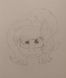 Size: 3060x3632 | Tagged: safe, artist:curly horse, imported from derpibooru, oc, oc only, oc:red rocket, unicorn, :3, bust, cute, horn, pencil drawing, ponytail, portrait, sketch, solo, traditional art
