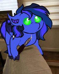 Size: 720x900 | Tagged: safe, artist:fluffyghost, imported from derpibooru, oc, oc only, oc:guard cobalt flash, bat pony, bat pony oc, bat wings, commission, criminal, cute, knife, ponified animal photo, solo, threatening, unshorn fetlocks, wings, ych result