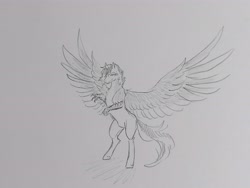 Size: 4624x3468 | Tagged: safe, artist:hkpegasister, imported from derpibooru, oc, oc only, oc:silver argent, hippogriff, pony, absurd resolution, grayscale, male, monochrome, pencil drawing, ponygriff, rearing, smiling, solo, spread wings, stallion, traditional art, wings