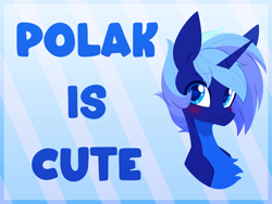 Size: 4000x3000 | Tagged: safe, artist:belka-sempai, imported from derpibooru, oc, oc only, oc:night sky (polak23), alicorn, pony, blushing, bust, countershading, cute, solo, text