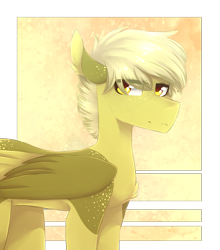 Size: 1564x1775 | Tagged: safe, artist:riressa, imported from derpibooru, oc, oc only, pegasus, pony, male, solo, stallion