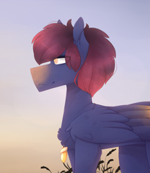 Size: 2279x2631 | Tagged: safe, artist:riressa, imported from derpibooru, oc, oc only, pegasus, pony, male, solo, stallion