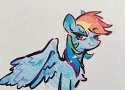 Size: 818x588 | Tagged: safe, artist:punkieple, imported from derpibooru, rainbow dash, pegasus, pony, colored pencil drawing, female, mare, marker drawing, smiling, smug, solo, traditional art