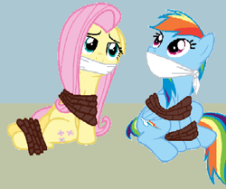 Size: 499x417 | Tagged: safe, artist:alexarmstrong2287, imported from derpibooru, fluttershy, rainbow dash, pegasus, pony, bondage, bound and gagged, cloth gag, gag, tied up
