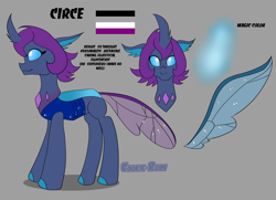 Size: 3168x2288 | Tagged: safe, imported from derpibooru, mare do well, oc, oc only, oc:circe, changedling, changeling, asexual pride flag, changedling oc, changeling oc, changelingified, ponysona, pride, pride flag, purple changeling, reference, reference sheet, solo, species swap