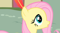 Size: 1920x1080 | Tagged: safe, imported from derpibooru, screencap, fluttershy, pegasus, pony, a bird in the hoof, season 1, :o, duckface, feather, female, mare, open mouth, solo