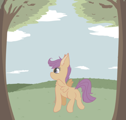 Size: 2684x2564 | Tagged: safe, artist:tkshoelace, imported from derpibooru, scootaloo, chest fluff, cloud, facing away, hill, looking up, sky, solo, spread wings, tree, wings