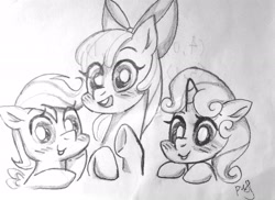 Size: 2742x2000 | Tagged: safe, artist:masichundepaofu, imported from derpibooru, apple bloom, scootaloo, sweetie belle, earth pony, pegasus, pony, unicorn, cutie mark crusaders, female, filly, foal, horn, simple background, smiling, traditional art, white background
