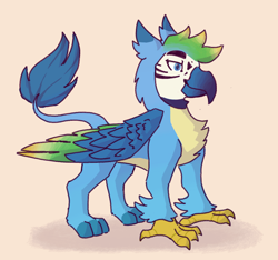 Size: 640x600 | Tagged: safe, artist:spicyricec00ker, imported from derpibooru, gallus, bird, griffon, hybrid, macaw, parrot, parrot griffon, alternate design, colored wings, eared griffon, macaw griffon, male, redesign, simple background, solo, wings