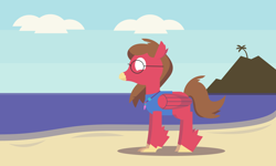 Size: 2000x1200 | Tagged: safe, artist:gd_inuk, imported from derpibooru, oc, oc only, oc:will guide, classical hippogriff, hippogriff, beach, classical hippogriffied, clothes, cloud, glasses, hippogriffied, jewelry, male, necklace, no pupils, ocean, palm tree, sand, shadow, shirt, sky, solo, species swap, tree, water