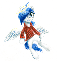 Size: 1232x1316 | Tagged: safe, artist:kaermter, imported from derpibooru, oc, oc only, pegasus, pony, clothes, halo, shirt, simple background, solo, white background