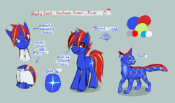 Size: 2431x1425 | Tagged: safe, artist:kaermter, imported from derpibooru, oc, oc only, oc:pondis dant, cat, pony, unicorn, clothes, gray background, heterochromia, horn, male, reference sheet, self paradox, self ponidox, shirt, simple background, solo, stallion