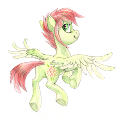 Size: 1388x1342 | Tagged: safe, artist:kaermter, imported from derpibooru, oc, oc only, pegasus, pony, flying, looking at you, looking back, looking back at you, simple background, solo, spread wings, traditional art, white background, wings