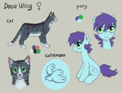 Size: 1442x1098 | Tagged: safe, artist:kaermter, imported from derpibooru, oc, oc only, oc:dovewing, cat, earth pony, pony, female, mare, reference sheet, simple background, sitting