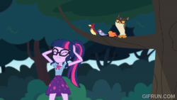 Size: 520x293 | Tagged: safe, imported from derpibooru, screencap, sci-twi, twilight sparkle, bird, human, owl, equestria girls, equestria girls series, stressed in show, stressed in show: fluttershy, spoiler:eqg series (season 2), animated, female, gif, gifrun.com, my little pony equestria girls: choose your own ending