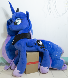 Size: 2872x3280 | Tagged: safe, imported from derpibooru, princess luna, pony, plushie, pony plushie