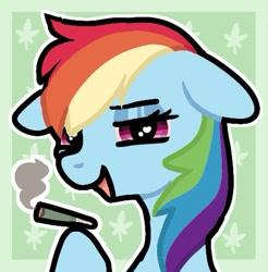 Size: 471x479 | Tagged: safe, artist:twilypie, imported from derpibooru, rainbow dash, pegasus, pony, blunt, bust, drug use, drugs, female, floppy ears, heart, heart eyes, lidded eyes, looking at you, mare, marijuana, marijuana leaf, open mouth, open smile, outline, passepartout, smiling, smiling at you, solo, wingding eyes