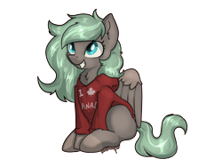 Size: 4000x3001 | Tagged: safe, artist:dumbwoofer, imported from derpibooru, oc, oc:forest air, pegasus, pony, chest fluff, clothes, ear fluff, excited, female, happy, hoodie, maple leaf, mare, simple background, sitting, smiling, solo, text, transparent background