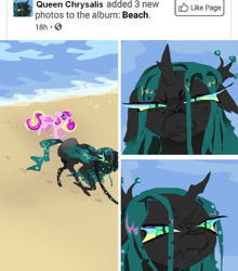 Size: 853x970 | Tagged: safe, artist:larvaecandy, imported from derpibooru, princess cadance, queen chrysalis, alicorn, changeling, changeling queen, pony, angry, beach, black coat, changeling horn, colored, colored hooves, colored sclera, colored wings, cross-popping veins, curly mane, curly tail, duo, duo female, ear fluff, emanata, facebook, female, floppy ears, folded wings, frown, green mane, green tail, height difference, hoofprints, horn, insect wings, lidded eyes, lineless, long legs, long mane, long tail, looking at you, mare, meme, meme redraw, multicolored mane, multicolored tail, narrowed eyes, ocean, outdoors, photoset, pink coat, pink eyes, purple sclera, queen chrysalis is not amused, sand, scowl, shiny mane, shiny tail, slender, small horn, smiling, solo focus, straight mane, straight tail, tail, teal sclera, text, thin, thin legs, unamused, unicorn horn, walking, water, wingding eyes, wings