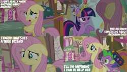 Size: 2000x1125 | Tagged: safe, edit, edited screencap, editor:quoterific, imported from derpibooru, screencap, fluttershy, spike, twilight sparkle, dragon, pegasus, pony, unicorn, magical mystery cure, big crown thingy, element of magic, jewelry, ponyville, regalia, unicorn twilight