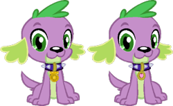 Size: 476x291 | Tagged: safe, edit, editor:pascalmulokozi2, imported from derpibooru, spike, spike the regular dog, dog, equestria girls, jewelry, medal, medallion, necklace, self paradox, self ponidox, simple background, spike the dog