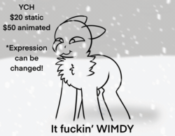 Size: 1348x1048 | Tagged: safe, artist:bluemoon, imported from derpibooru, oc, pony, animated, blizzard, breeze, commission, g5, gif, meme, snow, snowfall, solo, squint, vulgar, windy, winter, ych animation, ych example, your character here