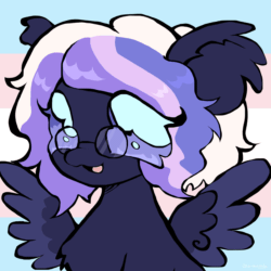 Size: 2200x2200 | Tagged: safe, artist:larvaecandy, imported from derpibooru, oc, oc only, oc:fluff fablewing, pegasus, pony, animated, blinking, gif, glasses, nonbinary, pegasus oc, pride, pride flag, solo, transgender, transgender oc, transgender pride flag, wings