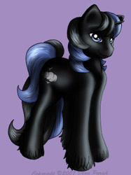 Size: 281x375 | Tagged: safe, artist:flyingpony, imported from derpibooru, oc, oc only, oc:skyview, pony, unicorn, fanfic:worlds apart, g1, horn, lavender background, male, simple background, solo, stallion, standing