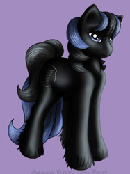 Size: 281x375 | Tagged: safe, artist:flyingpony, imported from derpibooru, oc, oc only, oc:stardust (flyingpony), earth pony, pony, fanfic:worlds apart, g1, lavender background, male, simple background, solo, stallion, standing, unshorn fetlocks