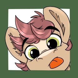Size: 1000x1000 | Tagged: safe, artist:rutkotka, imported from derpibooru, oc, oc:pitch kritter pine, :p, cute, looking at you, male, simple background, stallion, tongue out