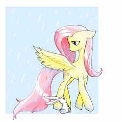Size: 3000x3000 | Tagged: safe, artist:37240622, imported from derpibooru, angel bunny, fluttershy, pegasus, pony, rabbit, animal, duo, female, full body, mare, rain, solo