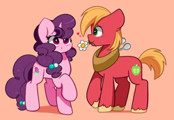 Size: 7038x4856 | Tagged: safe, artist:kittyrosie, imported from derpibooru, big macintosh, sugar belle, earth pony, pony, unicorn, :o, absurd resolution, blushing, cute, duo, duo male and female, female, flower, flower in mouth, high res, horn, kittyrosie is trying to murder us, looking at someone, macabetes, male, mare, mouth hold, open mouth, profile, redraw, shipping, simple background, stallion, straight, sugarbetes, sugarmac, unshorn fetlocks