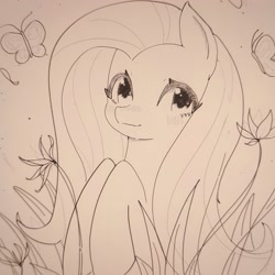 Size: 2286x2286 | Tagged: safe, artist:37240622, imported from derpibooru, fluttershy, butterfly, pegasus, pony, brown background, cute, female, grass, mare, shyabetes, simple background, sketch, solo
