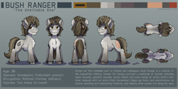 Size: 4268x2139 | Tagged: safe, artist:buckweiser, imported from derpibooru, oc, oc only, oc:bush ranger, pony, unicorn, broken horn, burn marks, chest fluff, claw marks, ear fluff, fluffy, front view, horn, horseshoes, jagged horn, low angle, male, overhead view, reference sheet, scar, side view, simple background, smiling, solo, stallion, standing, torn ear, yakutian horse