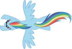 Size: 390x269 | Tagged: safe, artist:theairgonaut, imported from derpibooru, rainbow dash, pegasus, pony, the ticket master, .svg available, female, flying, mare, missing cutie mark, overhead view, simple background, solo, spread wings, svg, transparent background, vector, wings
