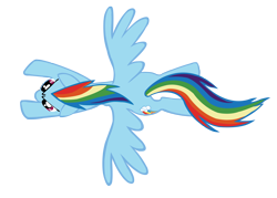Size: 2000x1434 | Tagged: safe, artist:shayminonearth, imported from derpibooru, rainbow dash, pegasus, pony, the ticket master, female, flying, mare, overhead view, simple background, solo, spread wings, transparent background, vector, wings