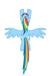 Size: 5400x8000 | Tagged: safe, artist:caliazian, artist:shayminonearth, imported from derpibooru, rainbow dash, pegasus, pony, .ai available, both cutie marks, female, flying, mare, overhead view, simple background, solo, sound barrier, spread wings, transparent background, vector, wings
