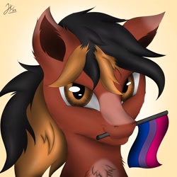 Size: 2048x2048 | Tagged: safe, artist:jkosmat, oc, oc only, pony, male, pansexual