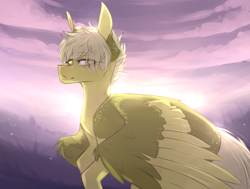 Size: 1000x757 | Tagged: safe, artist:riressa, imported from derpibooru, oc, oc only, pegasus, pony, colored wings, colored wingtips, flying, looking at you, solo, two toned wings, wings