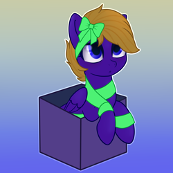 Size: 4000x4000 | Tagged: safe, artist:theriyelp, imported from derpibooru, oc, oc only, oc:wing front, pegasus, pony, box, cute, gradient background, pegasus oc, pony in a box, present, ribbon, solo, wings