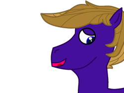 Size: 1000x750 | Tagged: safe, artist:hurricanehunter03, derpibooru exclusive, imported from derpibooru, oc, oc only, oc:wing front, pegasus, bust, pegasus oc, portrait, simple background, solo, transparent background, wings